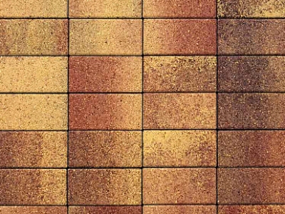 Плитка тротуарная ВЫБОР ЛА-Линия 2П.6,  Листопад гранит Осень коричнево-красно-желтый , 200*100*60 мм