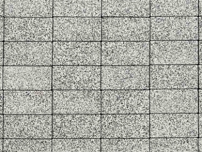 Плитка тротуарная ВЫБОР ЛА-Линия 2П.6, Стоунмикс черно-белый, 200*100*60 мм