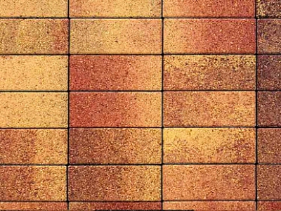Плитка тротуарная ВЫБОР Паркет 4П.6, Листопад Осень коричнево-красно-желтый гладкий, 180*60*60 мм