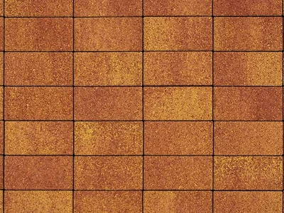 Плитка тротуарная ВЫБОР ЛА-Линия 2П.10, Листопад гладкий Каир красно-желтый, 200*100*100 мм