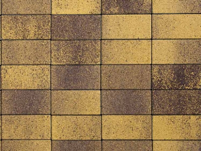 Плитка тротуарная ВЫБОР ЛА-Линия 2П.8, Листопад гладкий Янтарь коричнево-желтый, 200*100*80 мм