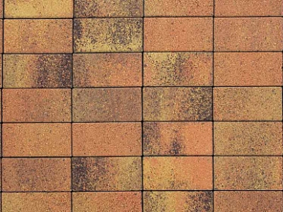 Плитка тротуарная ВЫБОР ЛА-Линия 2П.8, Листопад гладкий Саванна коричнево-оранжево-желтый, 200*100*80 мм