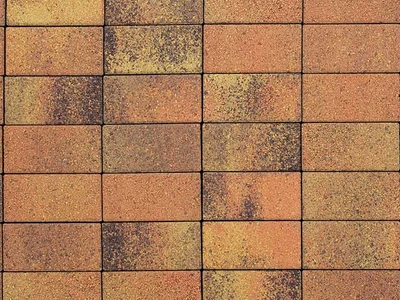Плитка тротуарная ВЫБОР ЛА-Линия 2П.6, Листопад гладкий Саванна коричнево-оранжево-желтый, 200*100*60 мм