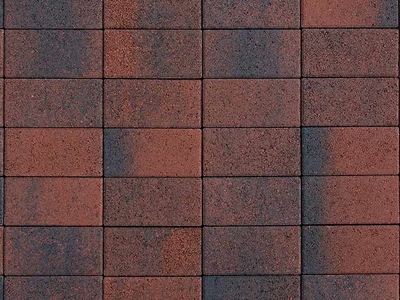 Плитка тротуарная ВЫБОР ЛА-Линия 5П.8 Листопад гладкий Клинкер красно-черный, 600*300*80 мм