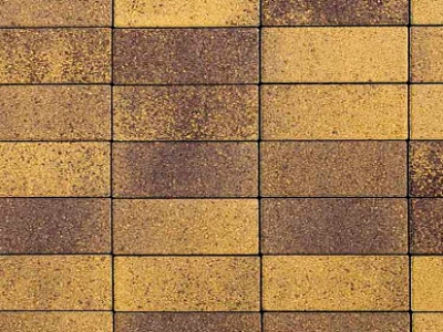 Плитка тротуарная ВЫБОР Паркет 4П.6, Листопад Янтарь коричнево-желтый гранит, 180*60*60 мм